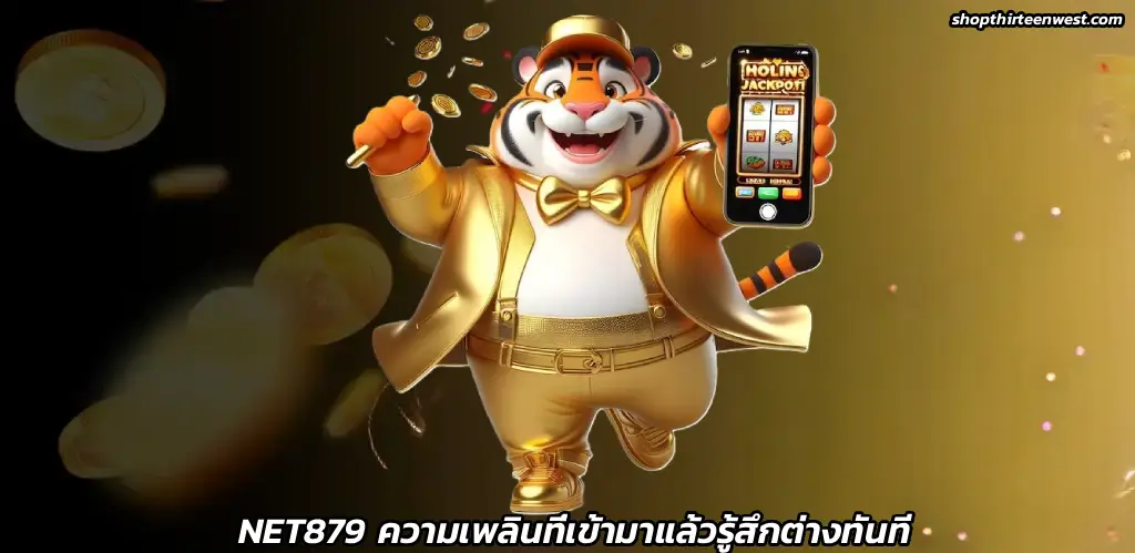 NET879